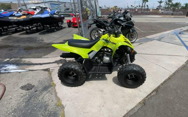 2026 Yamaha Raptor 110