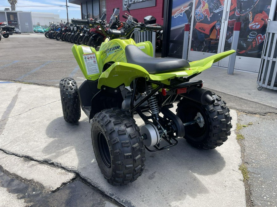 2026 Yamaha Raptor 110