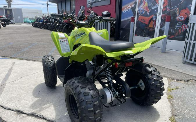 2026 Yamaha Raptor 110