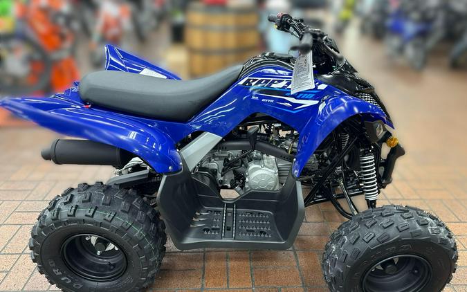 2026 Yamaha RAPTOR 110