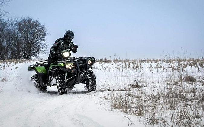 2021 Honda FourTrax Foreman Rubicon 4x4 EPS