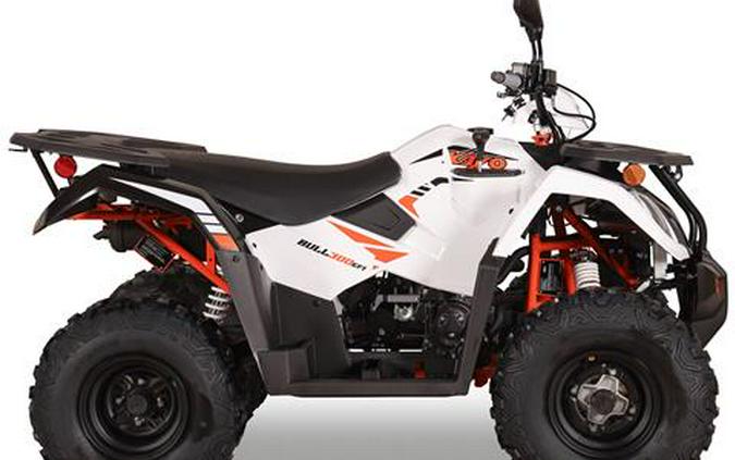 2027 Kayo Bull 300 EFI