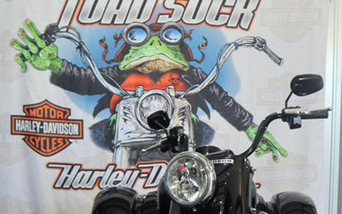 2025 Harley-Davidson® FLRT - Freewheeler®