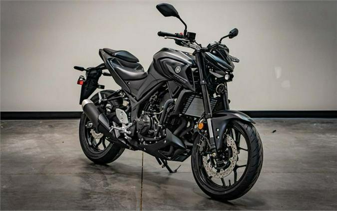 2024 Yamaha MT 03