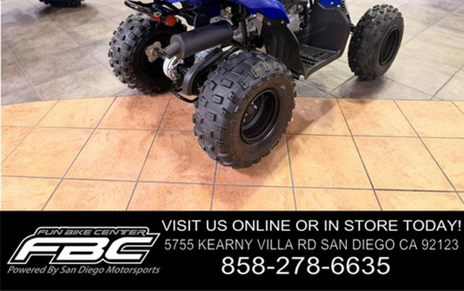 2026 Yamaha Raptor 110