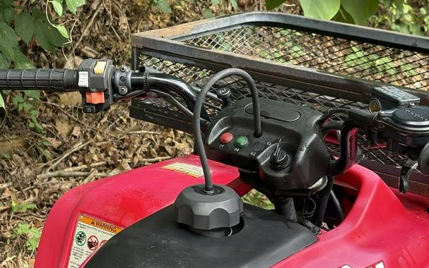 2003 Honda® TRX250TM3
