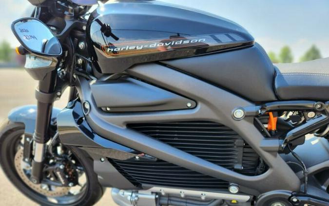 2020 Harley-Davidson LiveWire™ Black