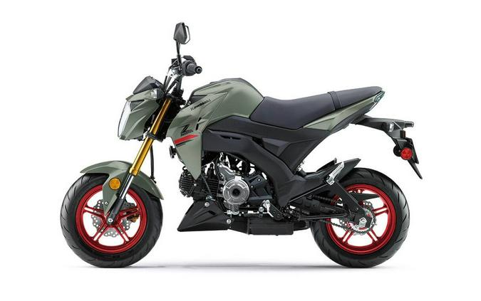 2023 Kawasaki Z125 Pro