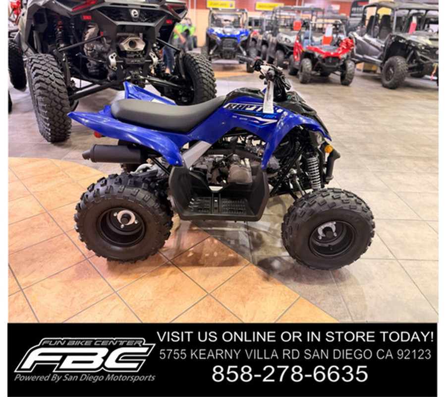 2026 Yamaha Raptor 110