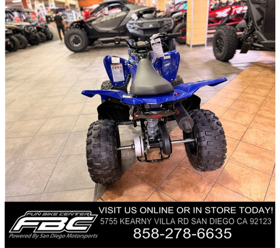 2026 Yamaha Raptor 110