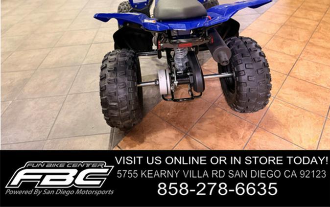 2026 Yamaha Raptor 110