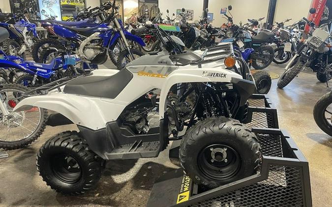 2024 Yamaha Grizzly 90