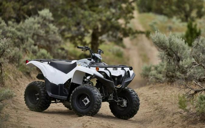 2024 Yamaha Grizzly 90