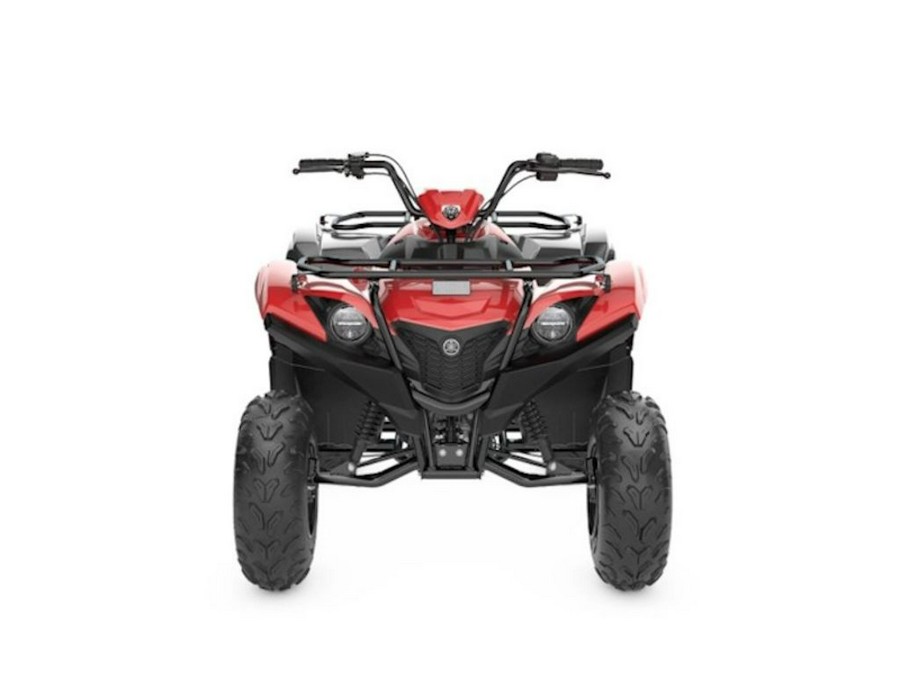 2025 Yamaha Grizzly 110