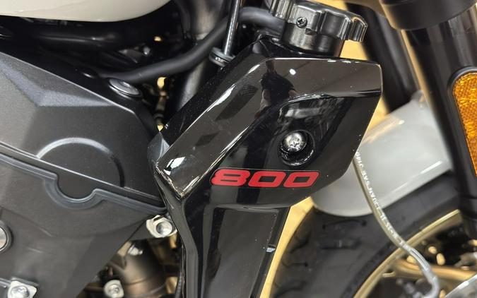 2026 Triumph Trident 800 Ash grey