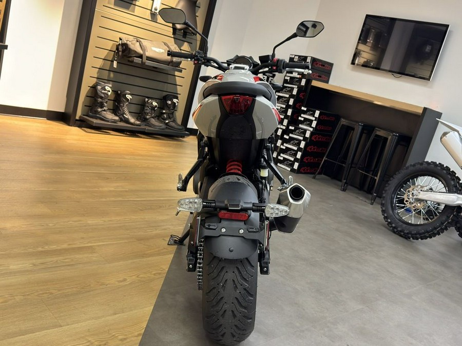 2026 Triumph Trident 800 Ash grey