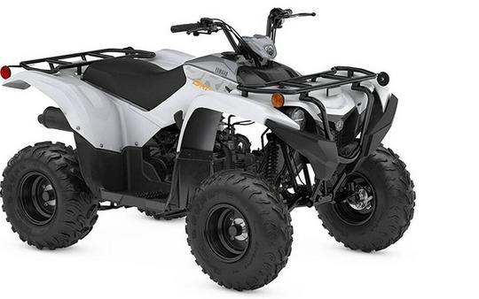 2024 Yamaha Grizzly 90