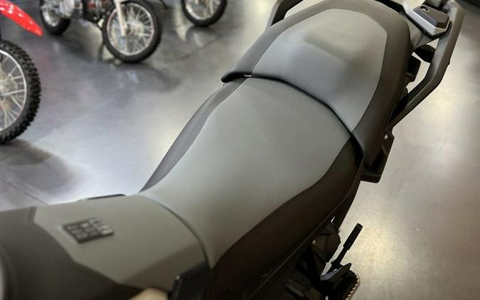 2026 BMW R 1300 GS Option 719