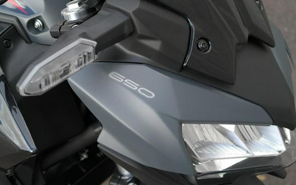 2025 Kawasaki Z650