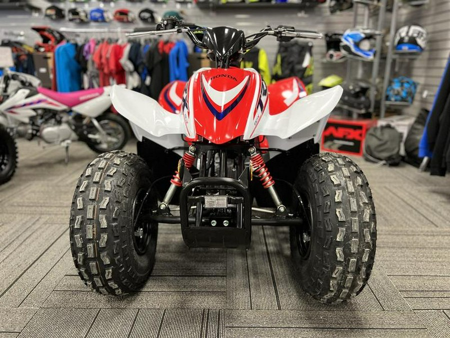 2023 Honda® TRX90X