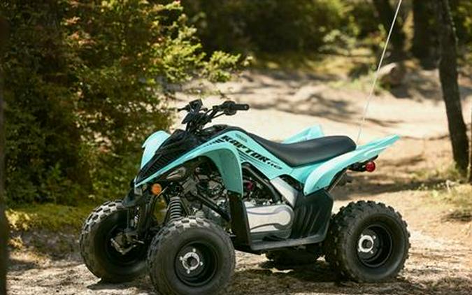 2025 Yamaha Raptor 110