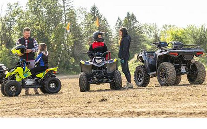 2026 Polaris Phoenix 200