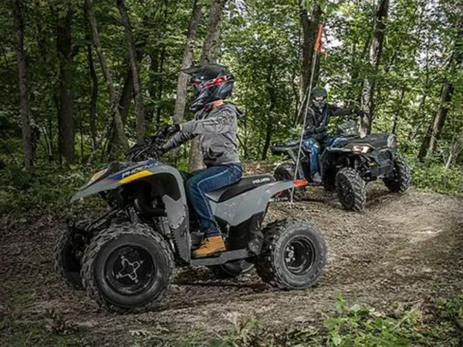 2026 Polaris Phoenix 200
