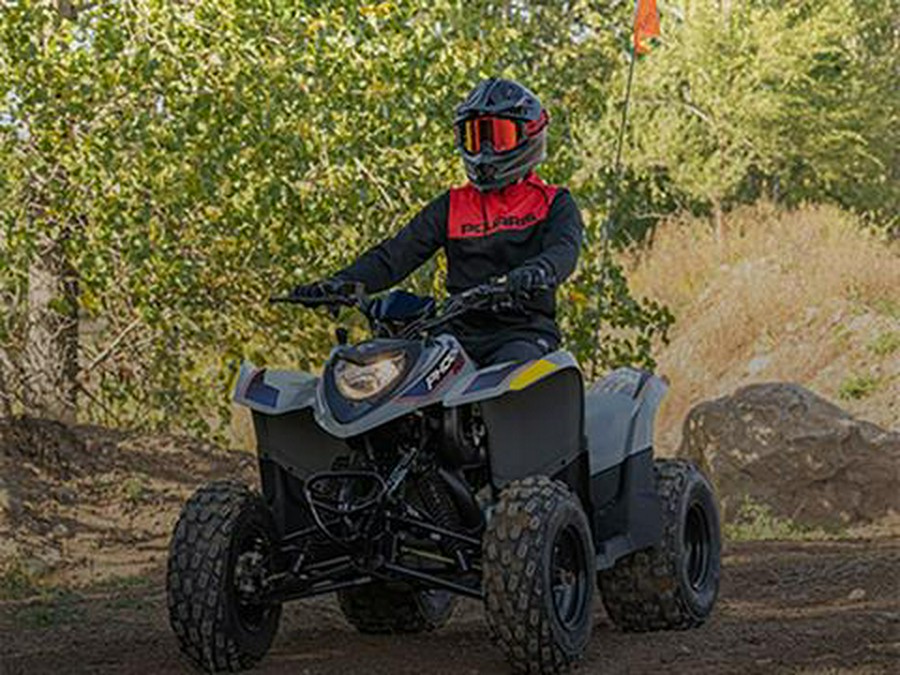 2026 Polaris Phoenix 200