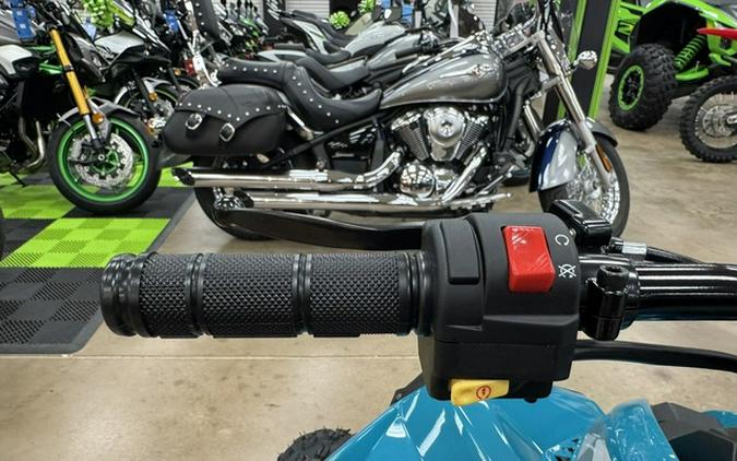 2026 Can-Am Renegade 110 EFI