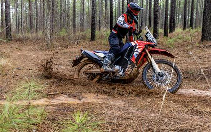 2025 Honda CRF300L Rally ABS