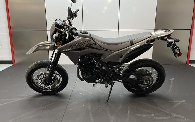 2024 Kawasaki KLX®230 SM ABS
