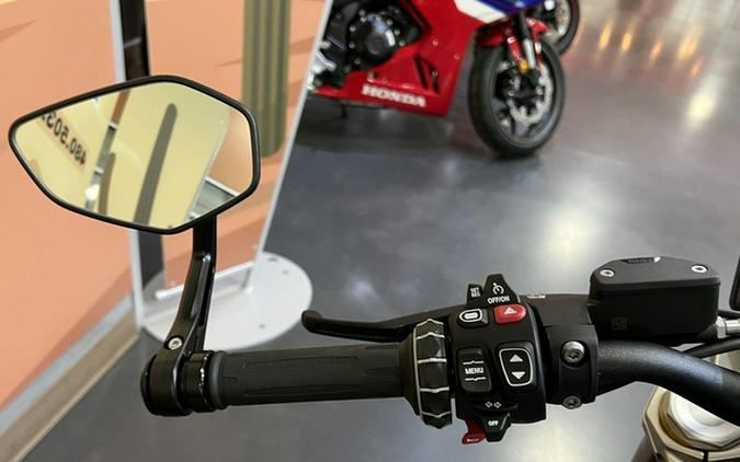 2026 BMW R 1300 R Performance