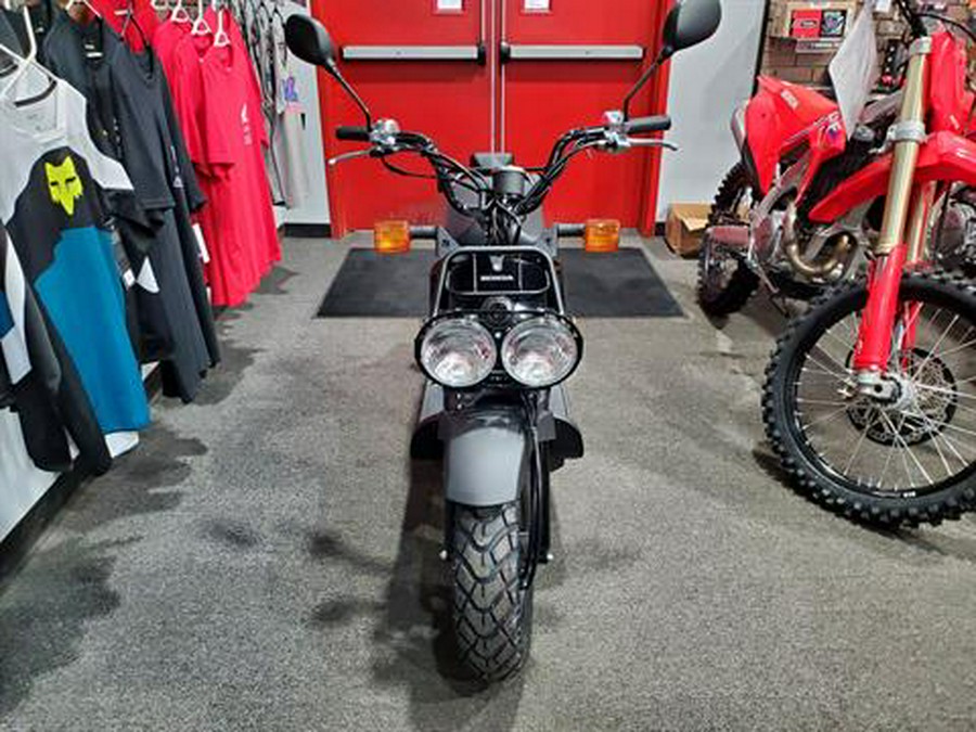 2024 Honda Ruckus