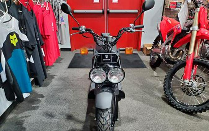 2024 Honda Ruckus