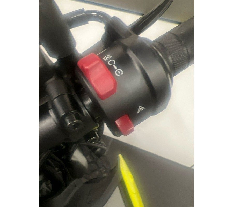 2024 CFMOTO Papio CL