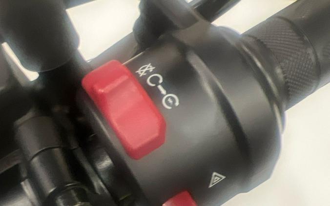 2024 CFMOTO Papio CL