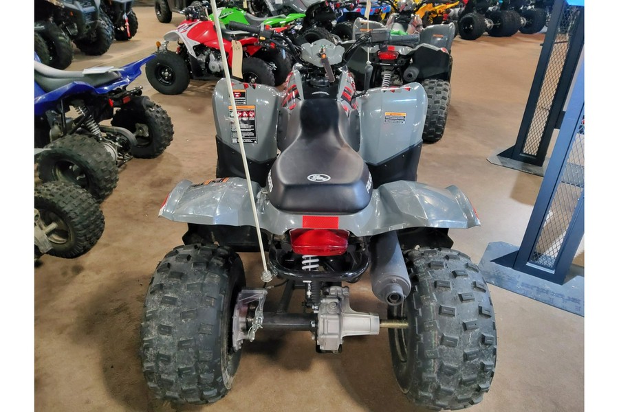 2021 Polaris Industries PHOENIX 200