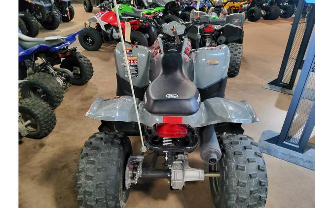 2021 Polaris Industries PHOENIX 200