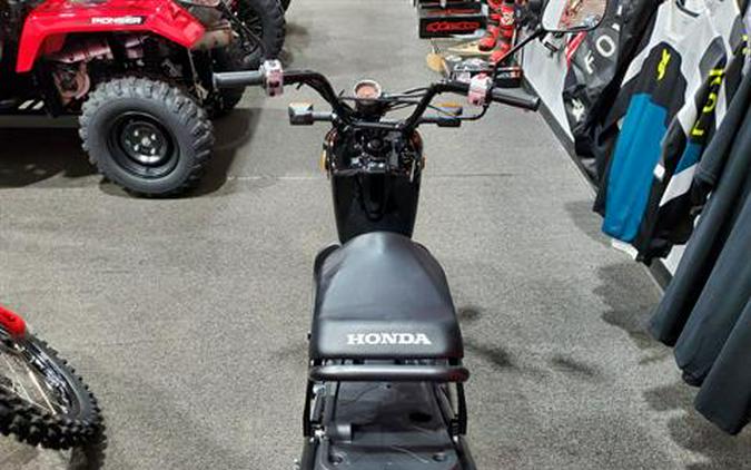 2024 Honda Ruckus