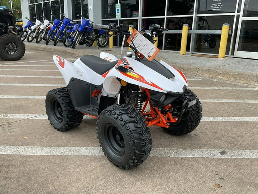 2026 Kayo Fox / Storm 70 70