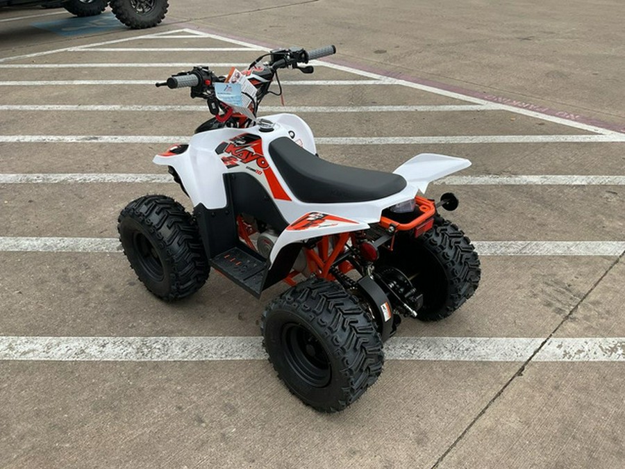 2026 Kayo Fox / Storm 70 70