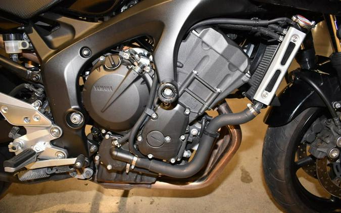 2009 Yamaha FZS6