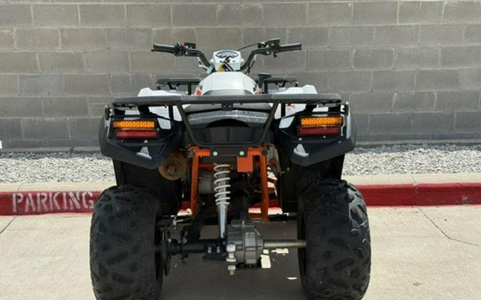 2025 Kayo Bull 300 EFI