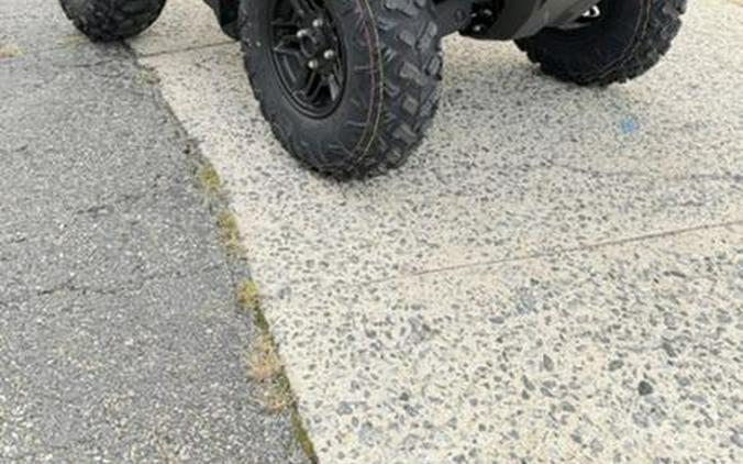 2027 Honda® FourTrax Rubicon 700 4x4 Automatic