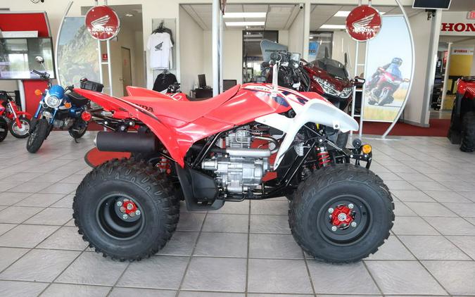 2023 Honda TRX 250X