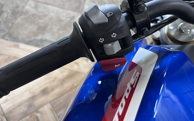 2024 BMW G 310 R Sport