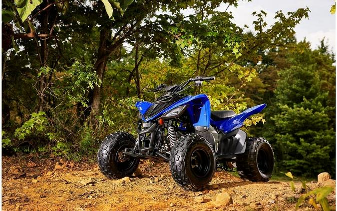 2022 Yamaha Raptor 90