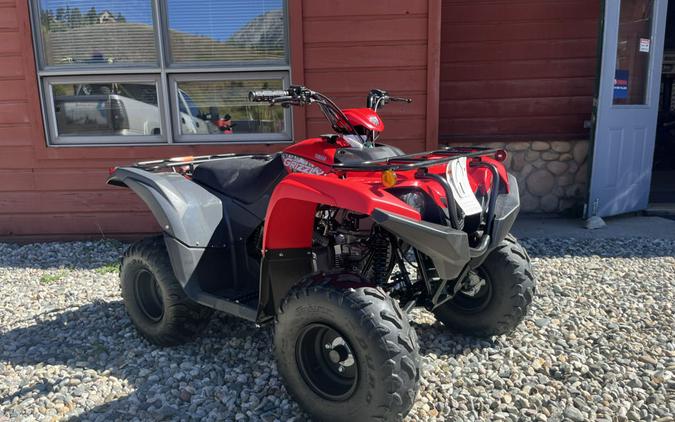 2025 Yamaha Grizzly 110