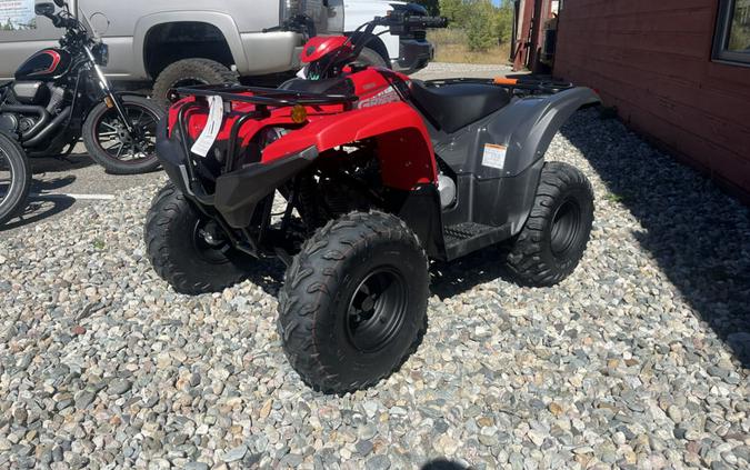 2025 Yamaha Grizzly 110