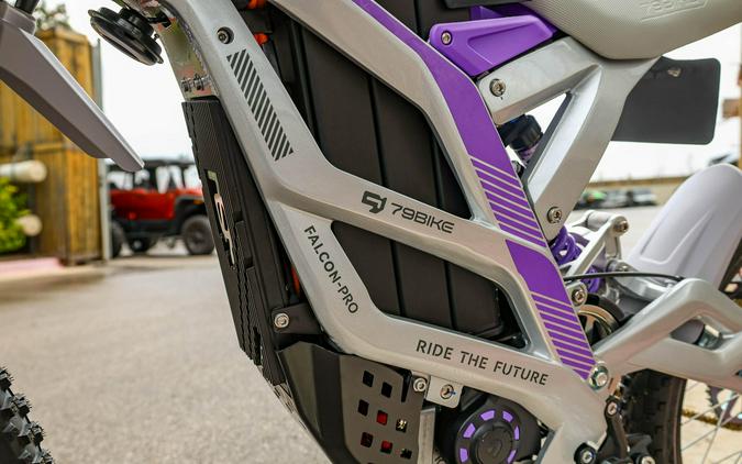 2025 79 BIKE FALCON PRO